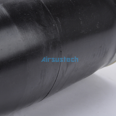 HINTER LINK/RICHT F75Z5A891CA FORD F150 F250 F350 Aufhängungsluftfedern