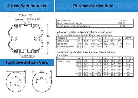 2B12-425 Goodyear Air Spring 578923309 Dreieck 6316/4363 für Leland SC2075 Airbags