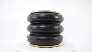 Austausch der Luftfeder Firestone W01-M58-6136